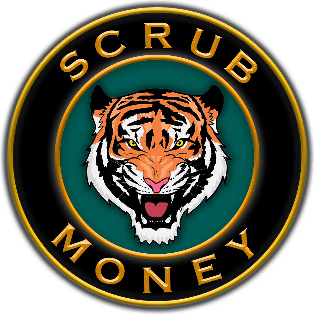 ScrubMoney Gen1